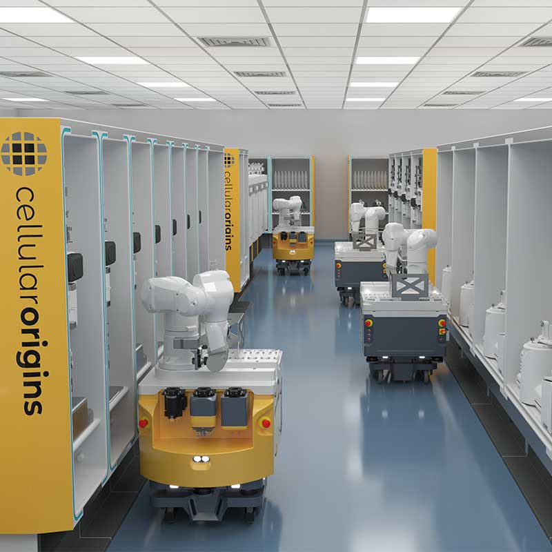 cell therapy automation